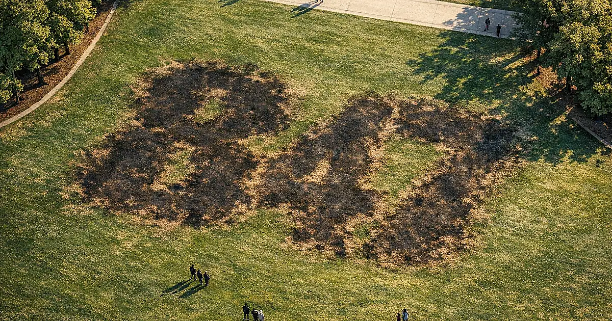 Aerial view of vandalized grass lawn with numbers carved into turf creating dark patches on National Mall