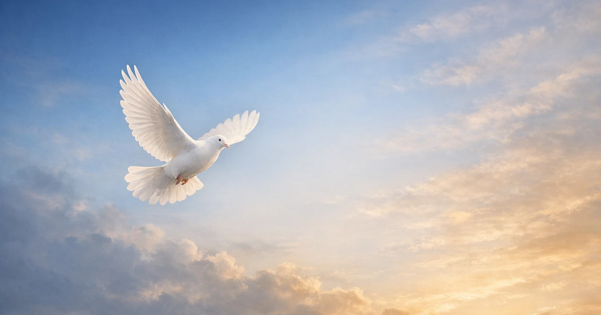 White dove flying through peaceful sky with soft golden and blue gradient lighting