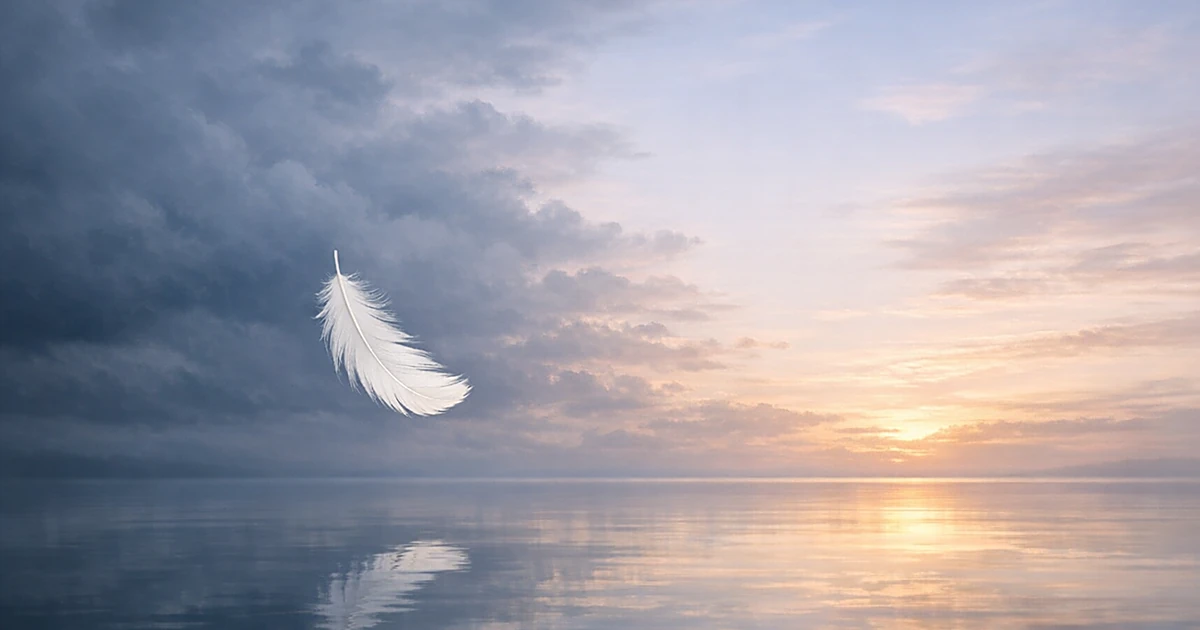 White feather floating over calm water beneath clearing storm clouds at dawn
